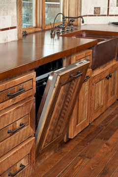 dishwasher and kitchen sink